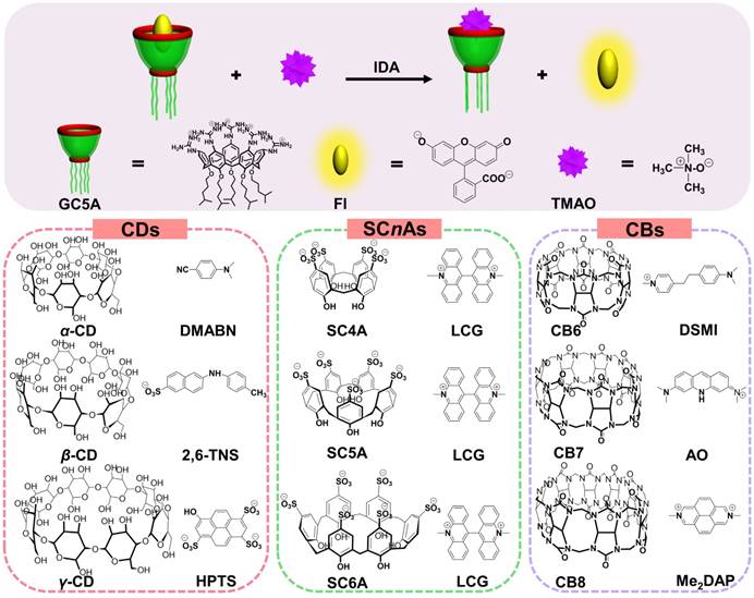 Theranostics Image