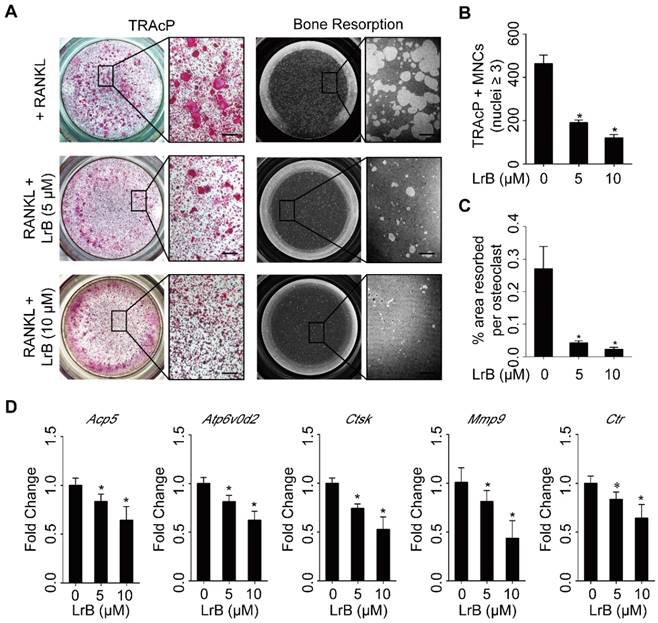 Theranostics Image