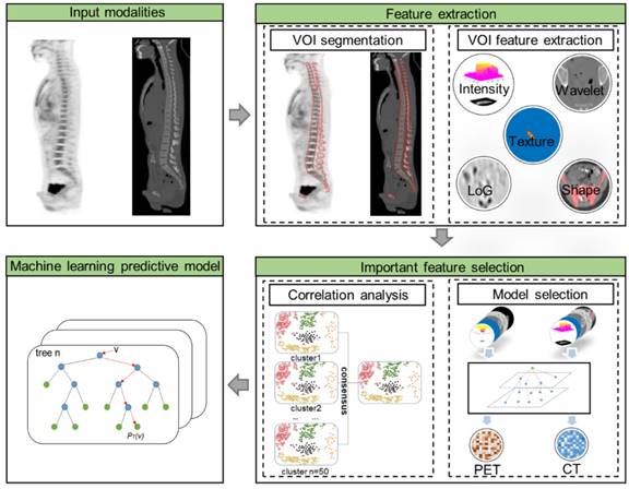 Theranostics Image