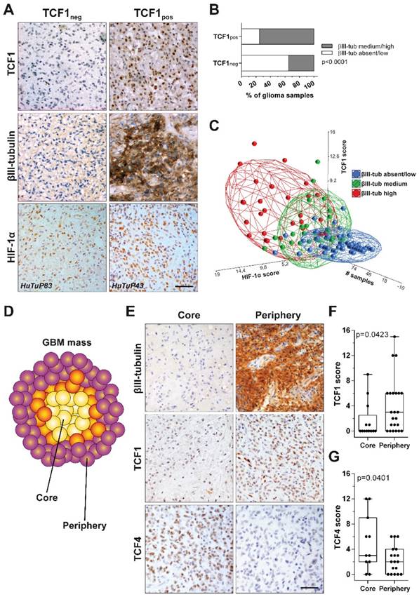 Theranostics Image