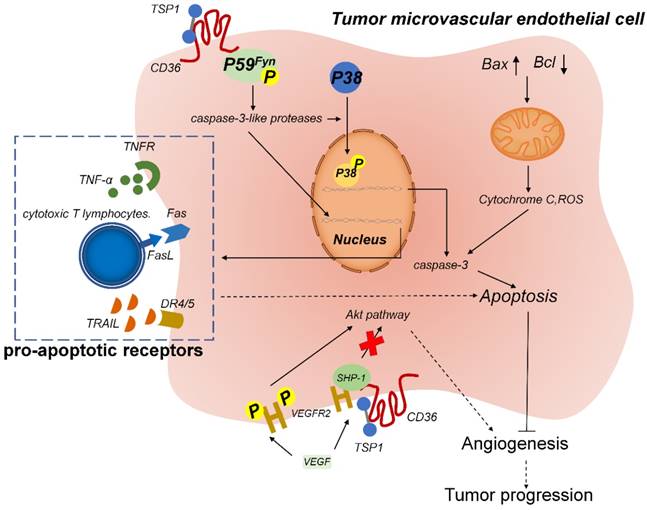 Theranostics Image