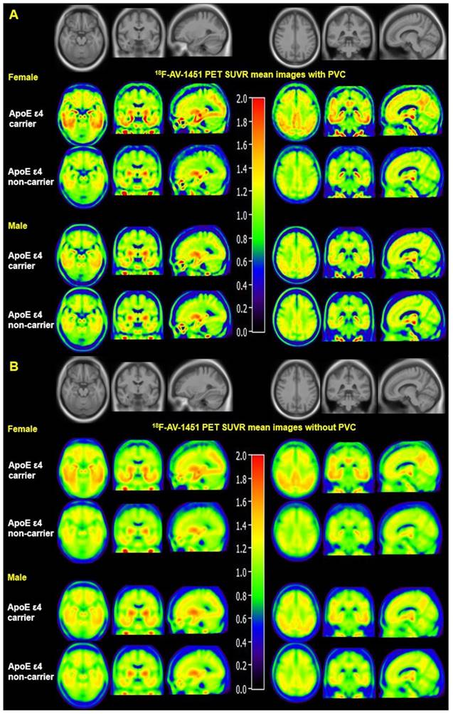 Theranostics Image