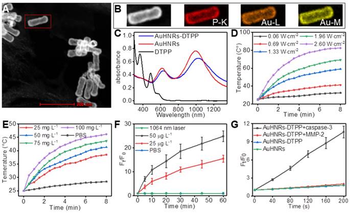 Theranostics Image