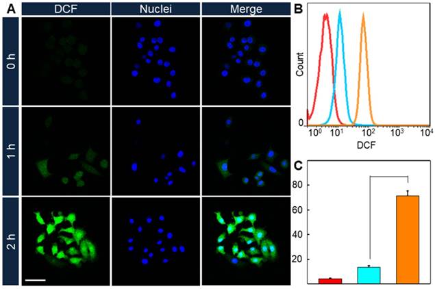 Theranostics Image