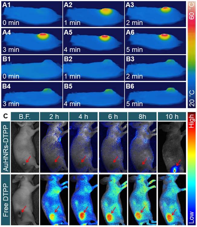 Theranostics Image