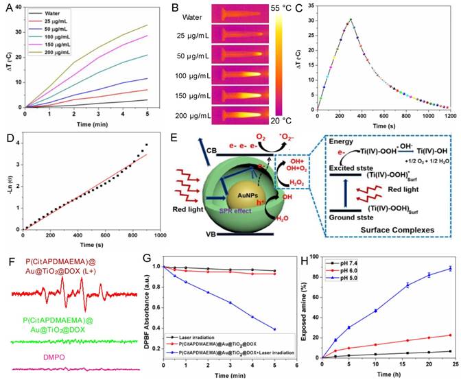 Theranostics Image