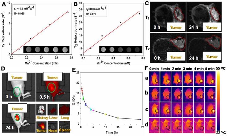 Theranostics Image