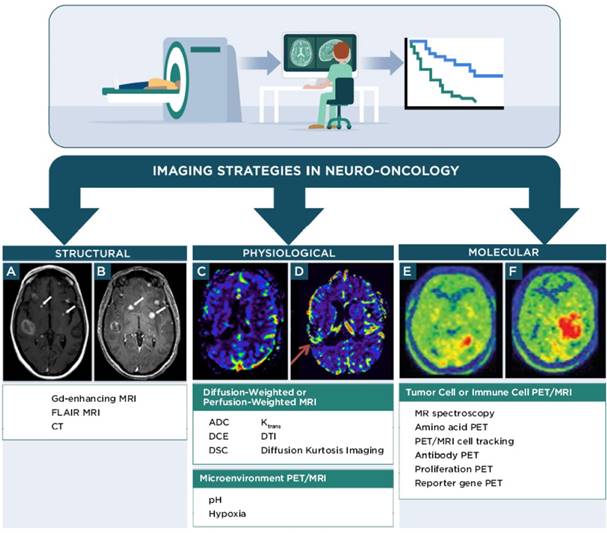 Theranostics Image