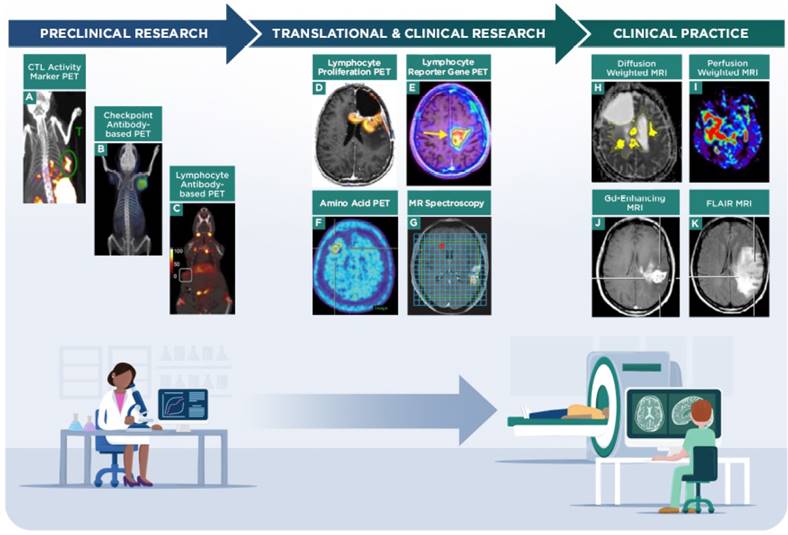 Theranostics Image