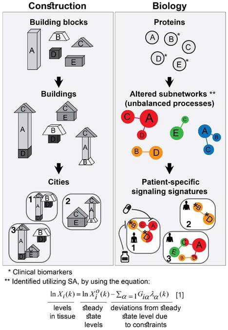 Theranostics Image