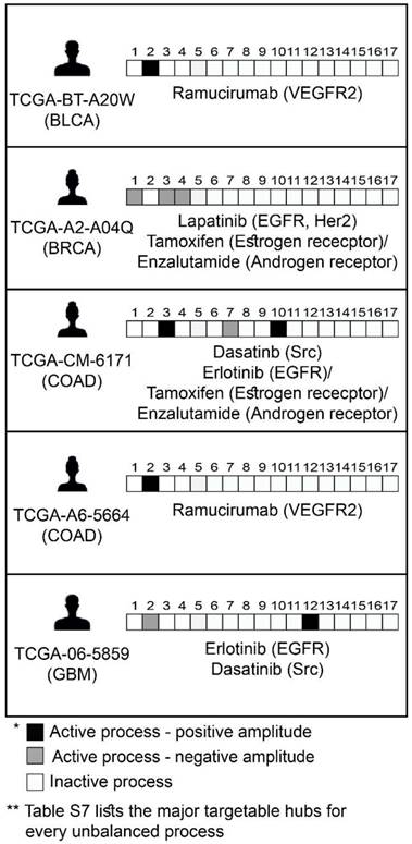 Theranostics Image