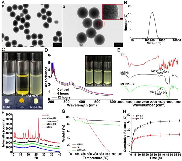 Theranostics Image