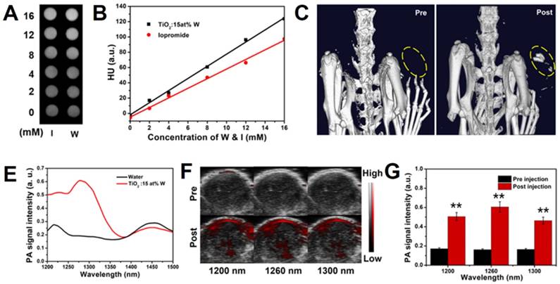 Theranostics Image