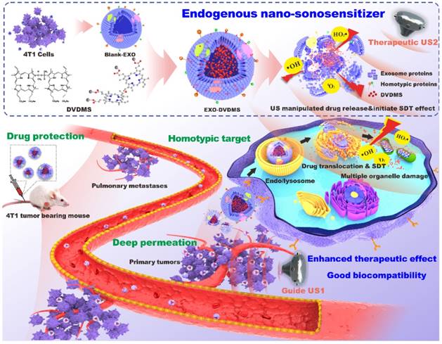 Theranostics Image