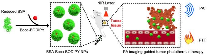 Theranostics Image