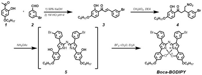 Theranostics Image