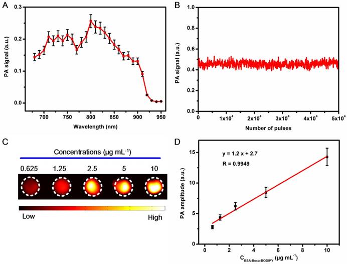 Theranostics Image