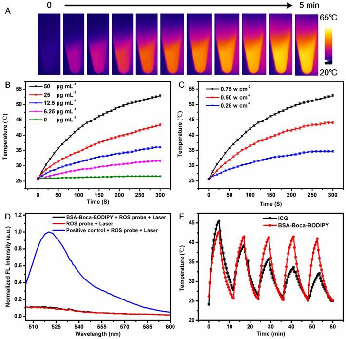 Theranostics Image