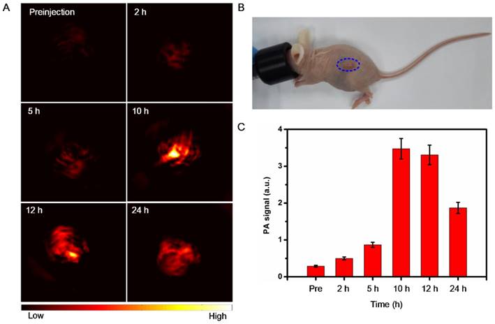 Theranostics Image