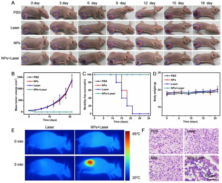 Theranostics Image