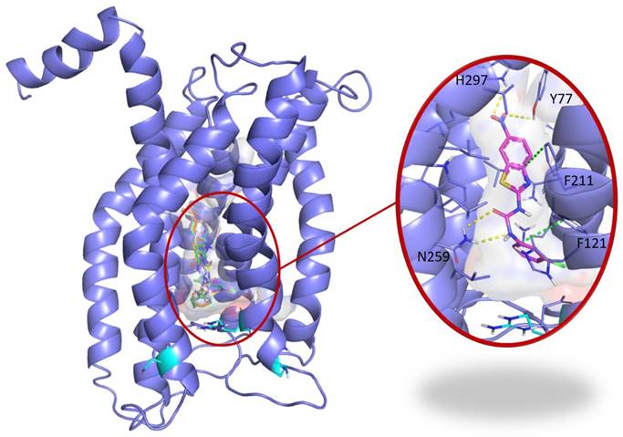 Theranostics Image