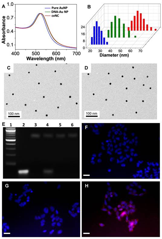 Theranostics Image