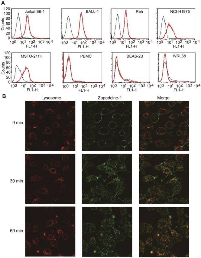 Theranostics Image