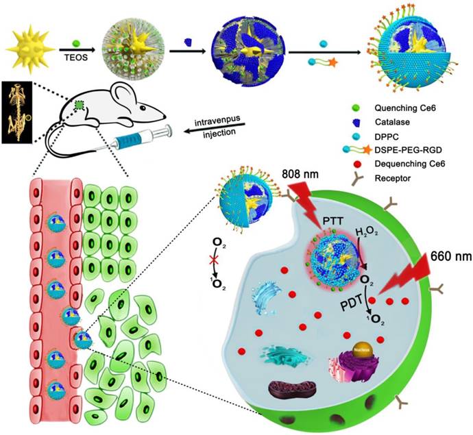 Theranostics Image