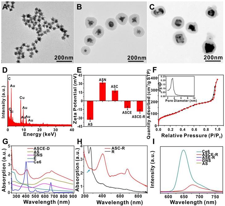 Theranostics Image