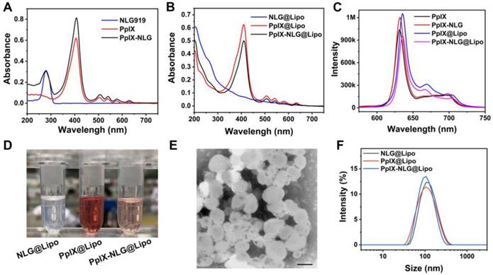 Theranostics Image