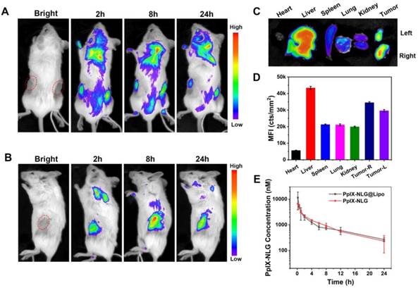 Theranostics Image