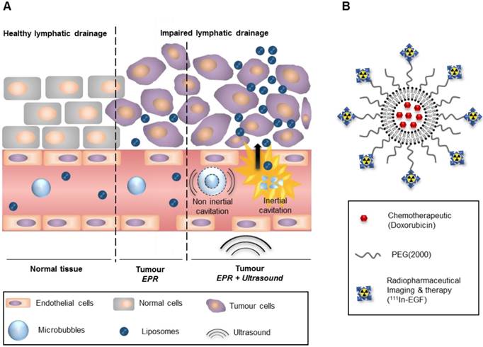 Theranostics Image