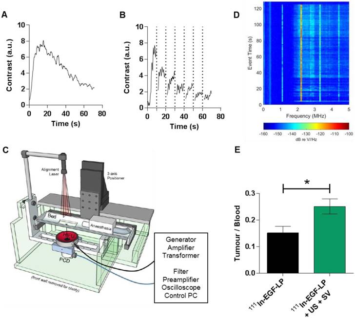 Theranostics Image