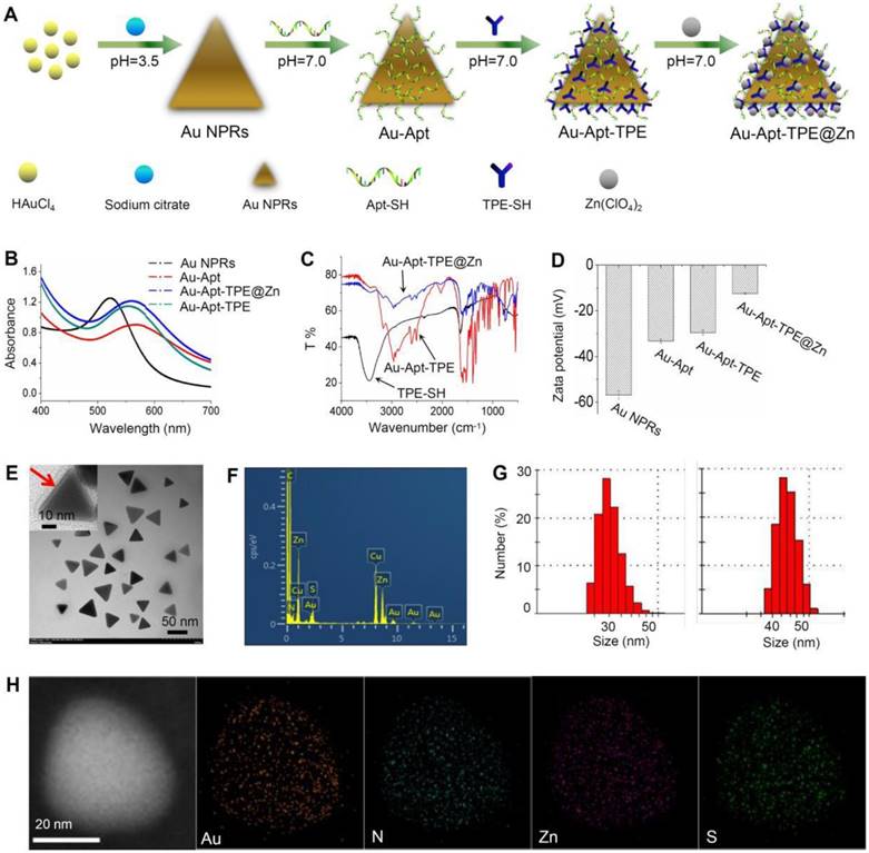 Theranostics Image