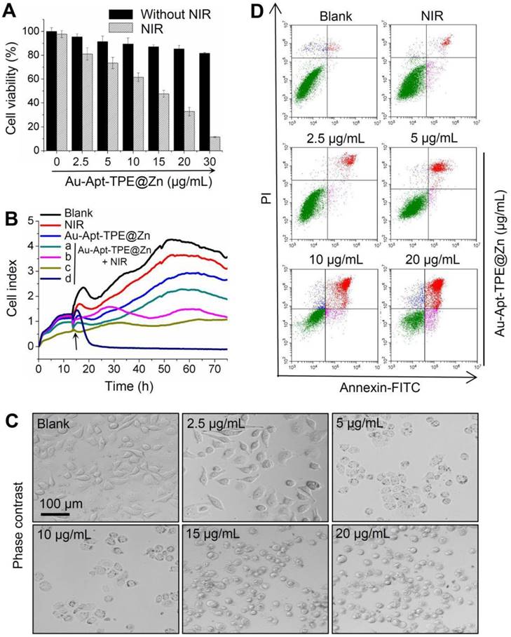 Theranostics Image