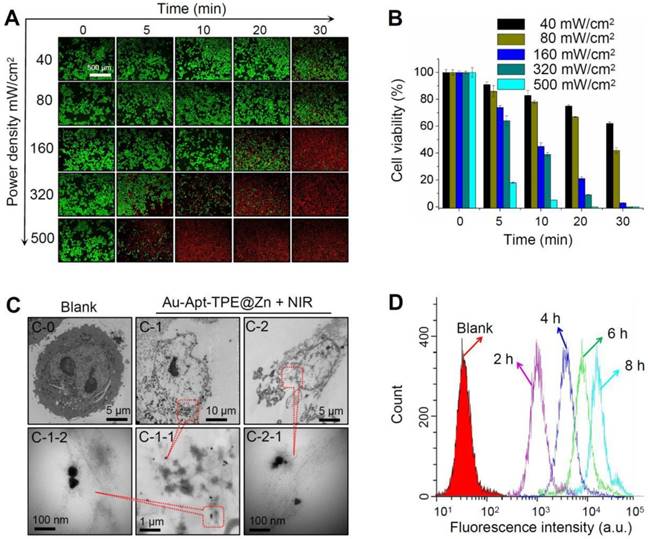 Theranostics Image