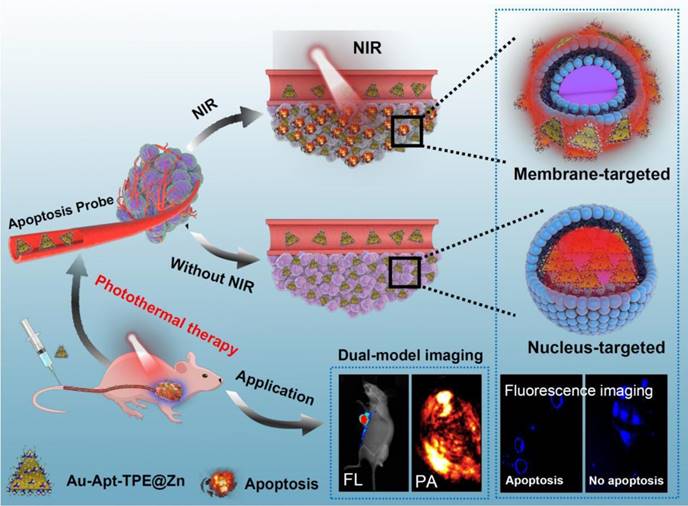 Theranostics Image