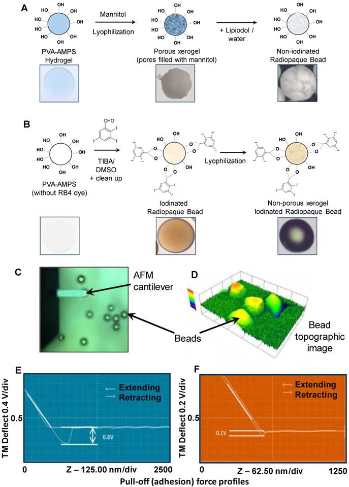 Theranostics Image