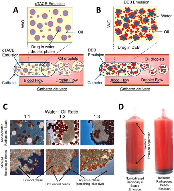 Theranostics Image