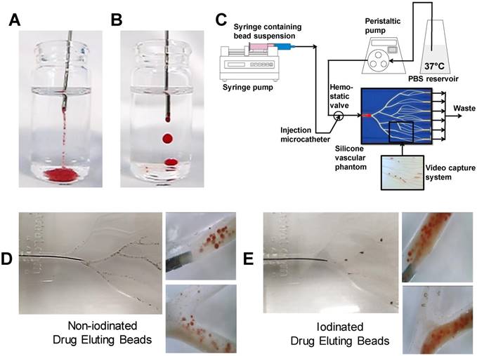 Theranostics Image