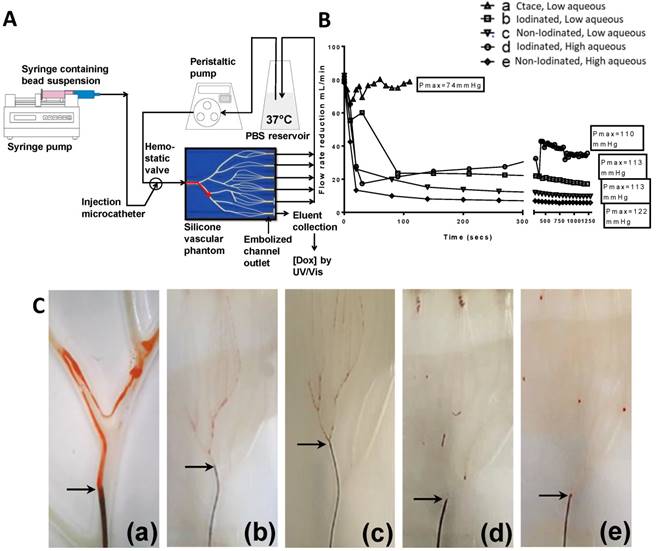 Theranostics Image