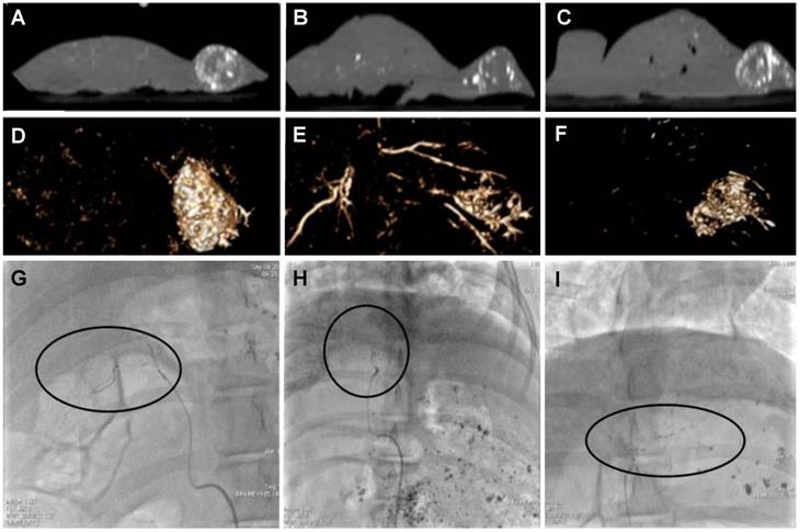 Theranostics Image