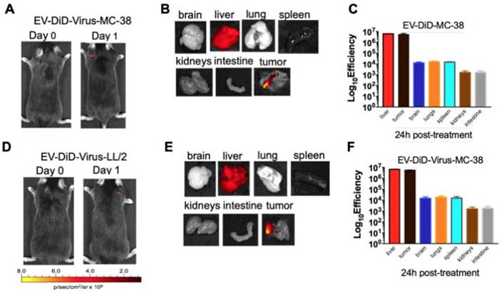 Theranostics Image