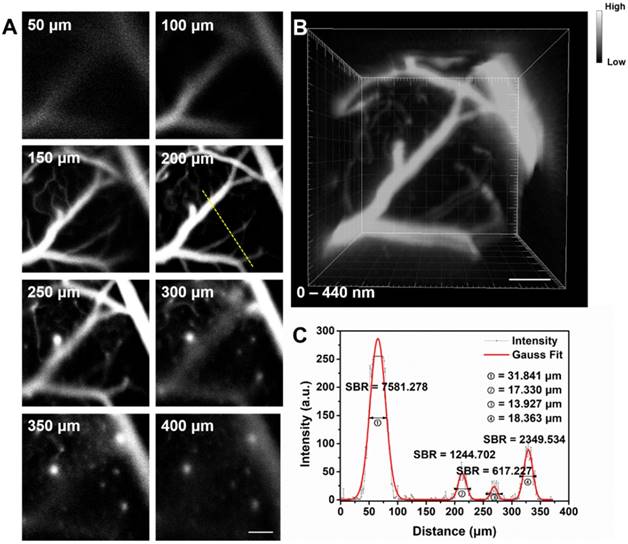 Theranostics Image