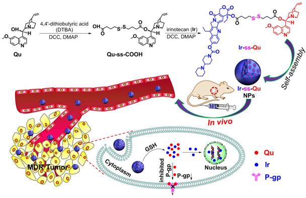 Theranostics Image