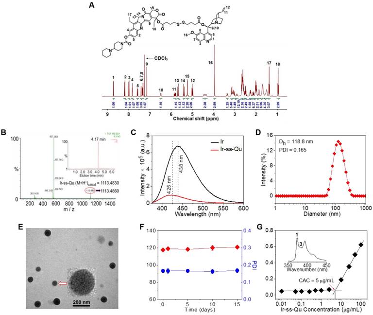 Theranostics Image