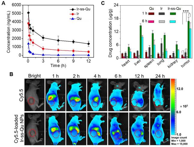 Theranostics Image