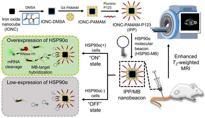 Theranostics Image