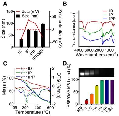 Theranostics Image