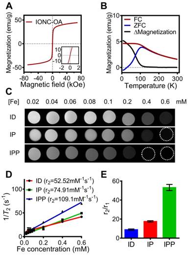 Theranostics Image